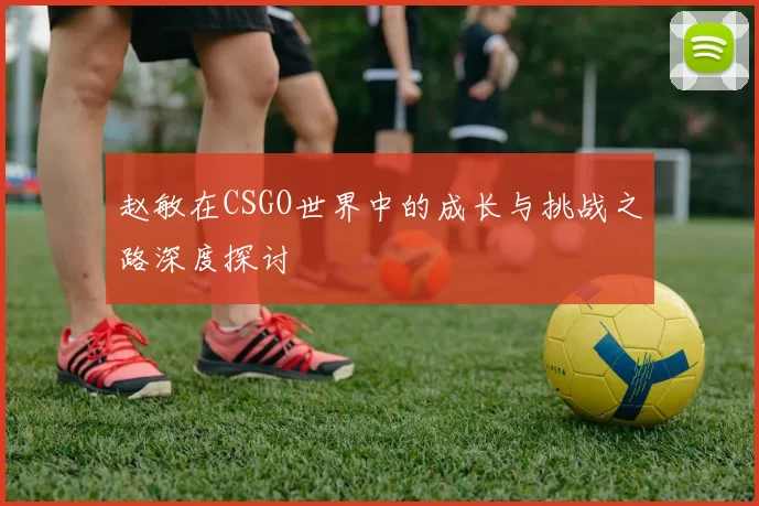 赵敏在CSGO世界中的成长与挑战之路深度探讨