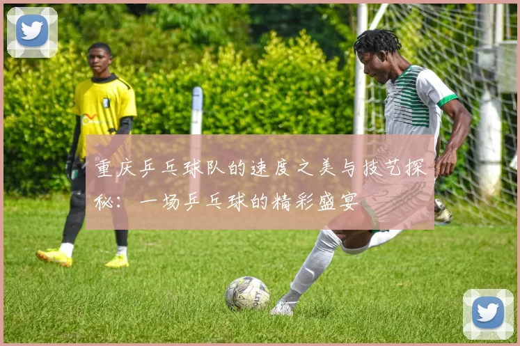 重庆乒乓球队的速度之美与技艺探秘：一场乒乓球的精彩盛宴