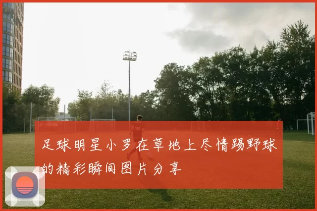 足球明星小罗在草地上尽情踢野球的精彩瞬间图片分享
