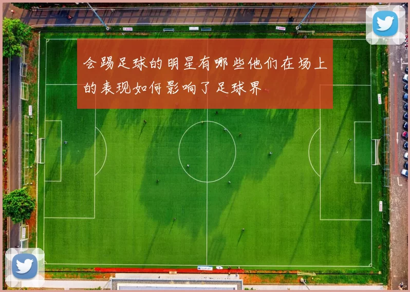 会踢足球的明星有哪些他们在场上的表现如何影响了足球界