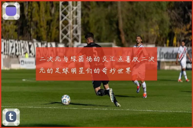 二次元与绿茵场的交汇点喜欢二次元的足球明星们的奇妙世界