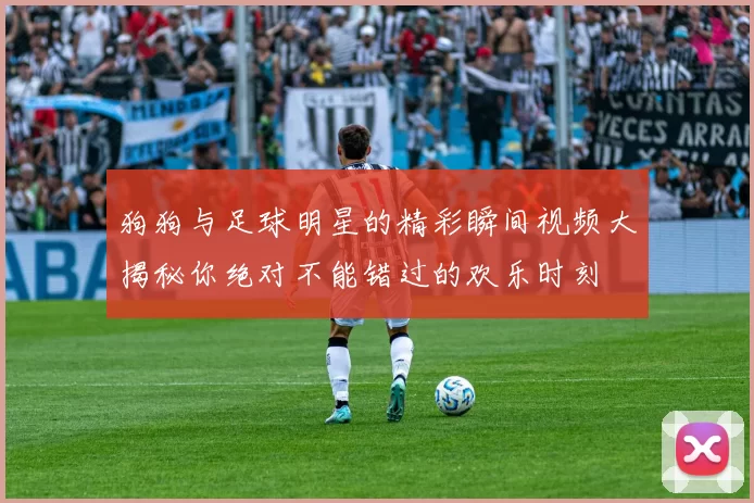 狗狗与足球明星的精彩瞬间视频大揭秘你绝对不能错过的欢乐时刻