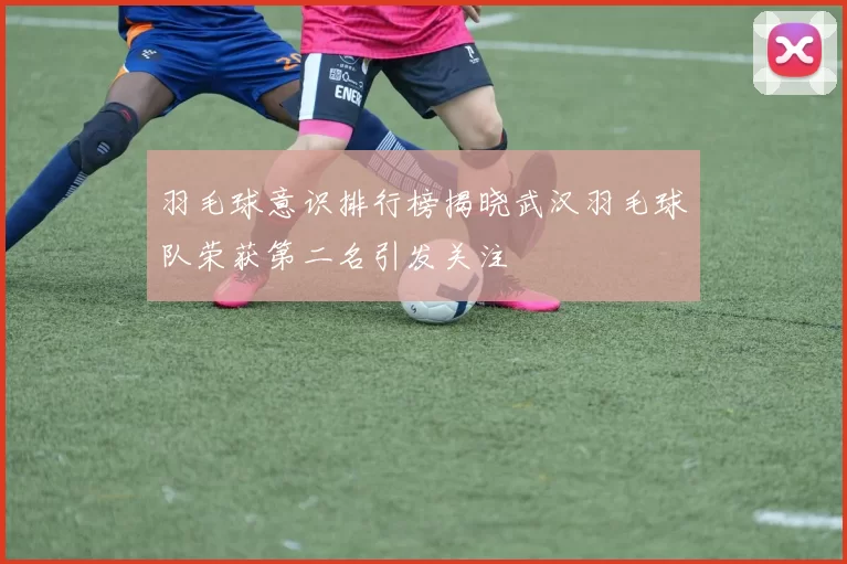 羽毛球意识排行榜揭晓武汉羽毛球队荣获第二名引发关注