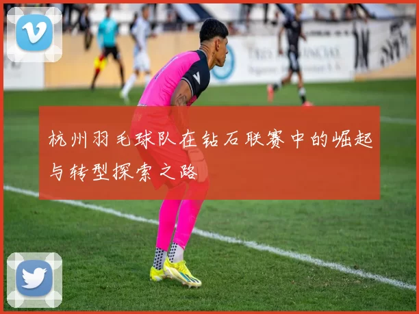 杭州羽毛球队在钻石联赛中的崛起与转型探索之路