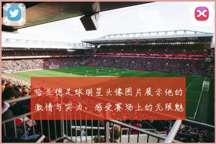哈兰德足球明星头像图片展示他的激情与实力，感受赛场上的无限魅力与风采