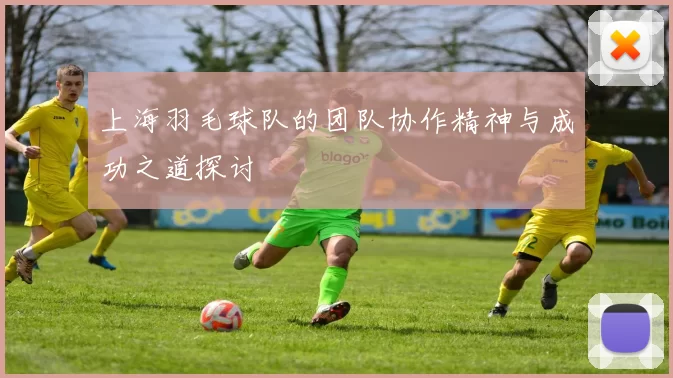 上海羽毛球队的团队协作精神与成功之道探讨