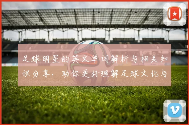 足球明星的英文单词解析与相关知识分享，助你更好理解足球文化与语言魅力