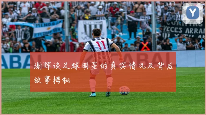 谢晖谈足球明星的真实情况及背后故事揭秘