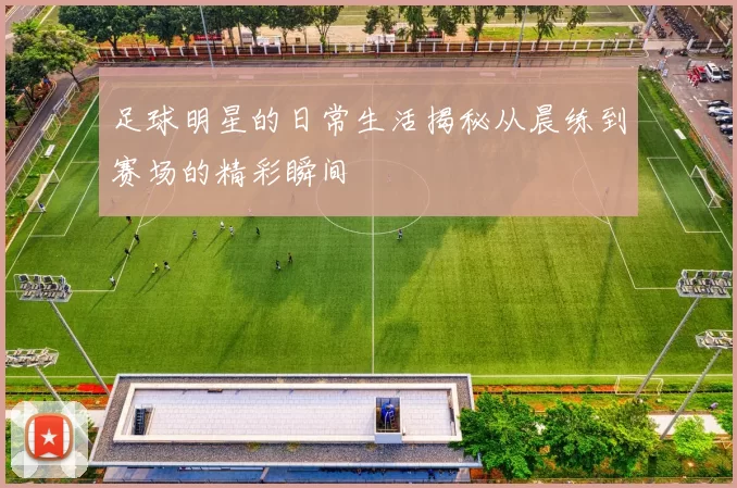 足球明星的日常生活揭秘从晨练到赛场的精彩瞬间