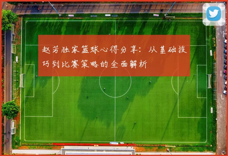 赵芳独家篮球心得分享：从基础技巧到比赛策略的全面解析
