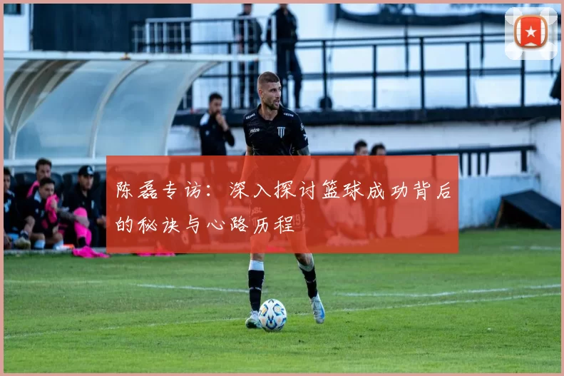 陈磊专访：深入探讨篮球成功背后的秘诀与心路历程
