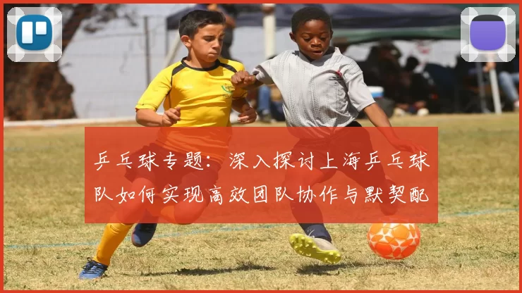 乒乓球专题：深入探讨上海乒乓球队如何实现高效团队协作与默契配合