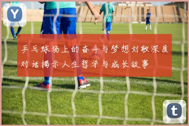 乒乓球场上的奋斗与梦想刘敏深度对话揭示人生哲学与成长故事