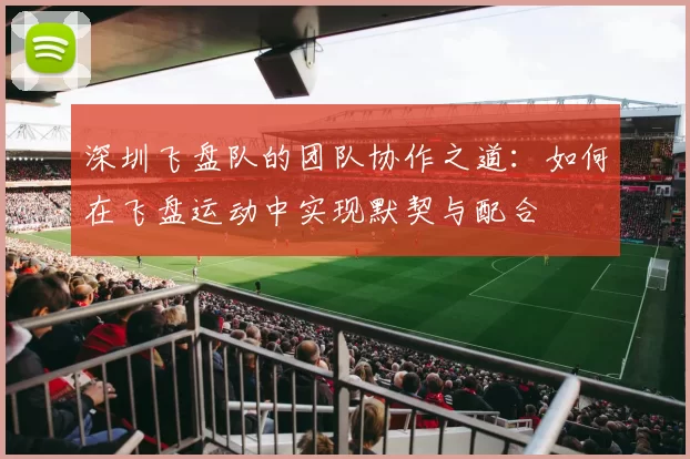 深圳飞盘队的团队协作之道：如何在飞盘运动中实现默契与配合