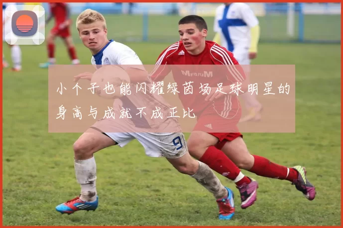 小个子也能闪耀绿茵场足球明星的身高与成就不成正比