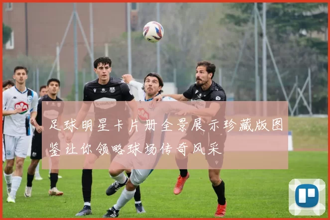 足球明星卡片册全景展示珍藏版图鉴让你领略球场传奇风采