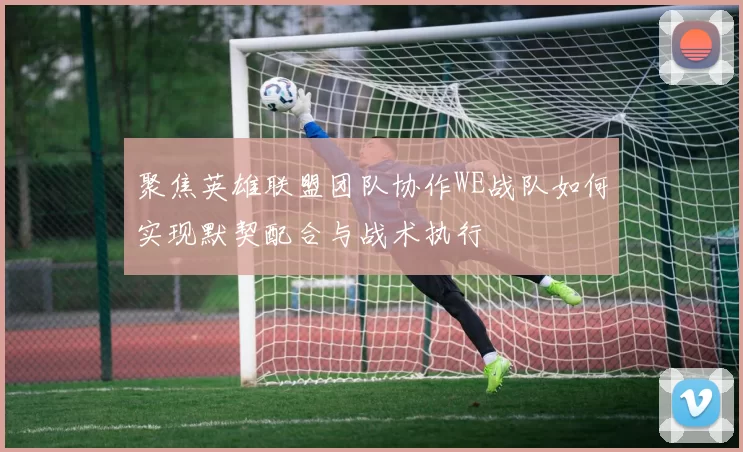 聚焦英雄联盟团队协作WE战队如何实现默契配合与战术执行