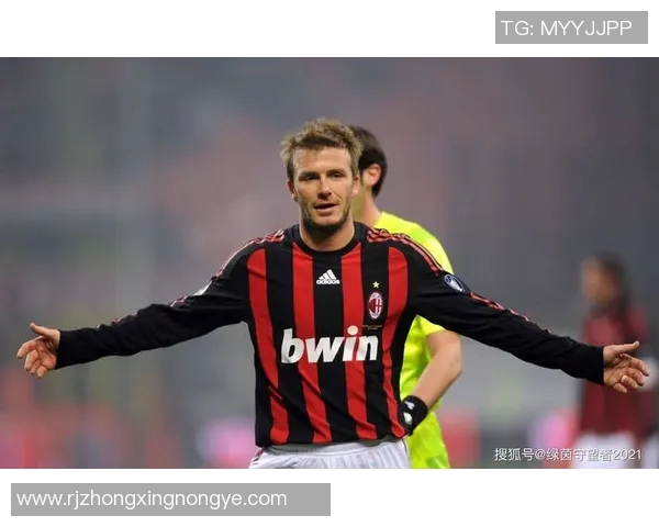 足球史上最强七大球星盘点 他们如何塑造了足坛传奇