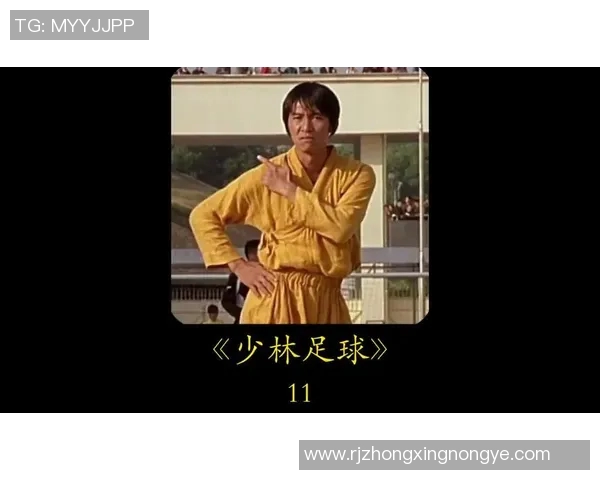 少林足球电影中主要角色的配音员揭晓及其背后的故事解析
