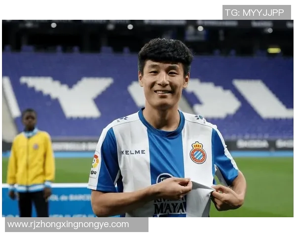 荷兰足球中效力的中国球员有哪些以及他们的表现如何