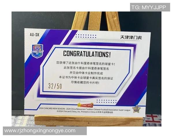 齐达内足球球星卡的市场价值解析与投资潜力分析